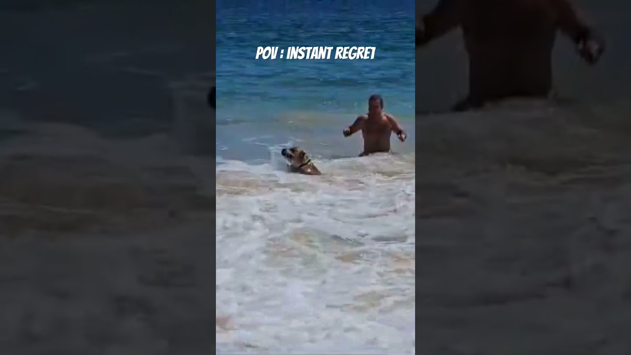dog faces instant regret for his decision! 