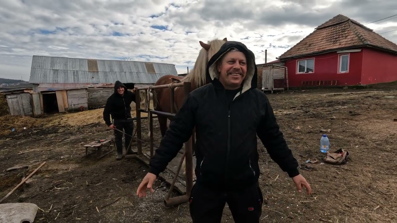 Caii Lui Pancica -Cătălin Potcovește Calul \Glume și Povești Cu Oamnei Faini 