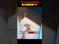 PCに奪われた神技術?昔の点線専用ペン #海外 #shorts