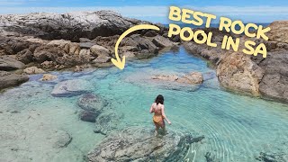 Greenly Rock Pool (so many starfish!)