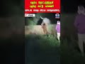 Elephant | Tractor | Forest Department