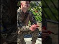 Герой зробив пропозицію своїй коханій зсу перемога війна рек військові весілля родина топ 