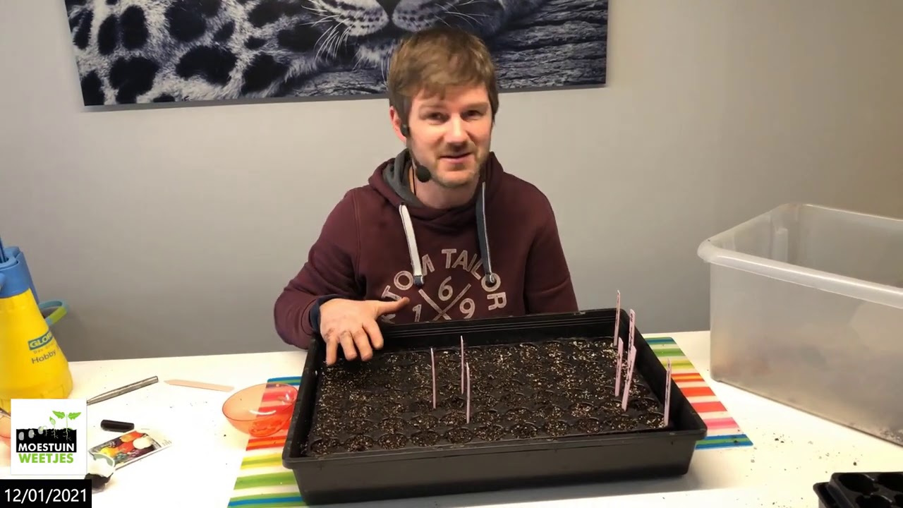 TM21#2 : Pepers, paprika's en aubergines zaaien in een Propagator