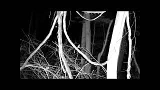 I.R. Night Watch Scanning Surveillance Part: 3
