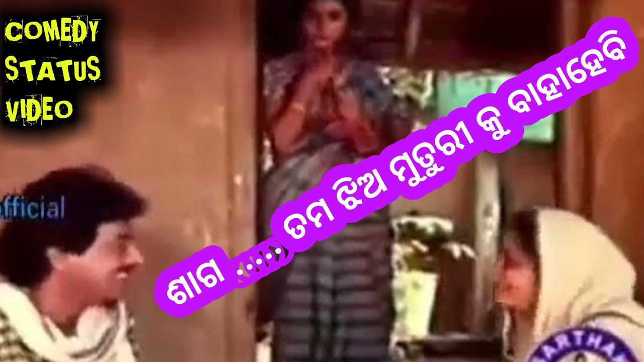 What's App Comedy Status Video // Share Chat Status // Status Video