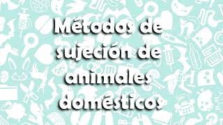 Métodos de sujeción de animales domésticos