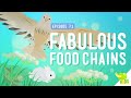 Energy Flow in Food Chains and Ecosystems