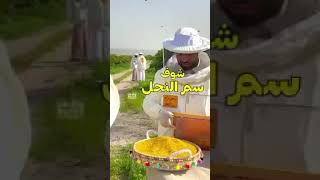 طرق استخراج سم النحل والعكبر وحبوب اللقاح وغذاء الملكات