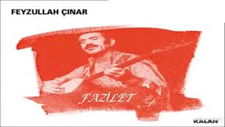 Feyzullah Çınar - Pirim Pir Sultan Resimi