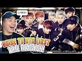 FIRST TIME REACTING TO WHO IS BTS??  // a meme-filled guide to bts!