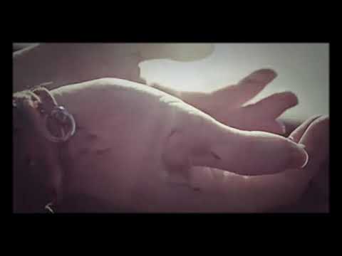 سلوا الله العافية 