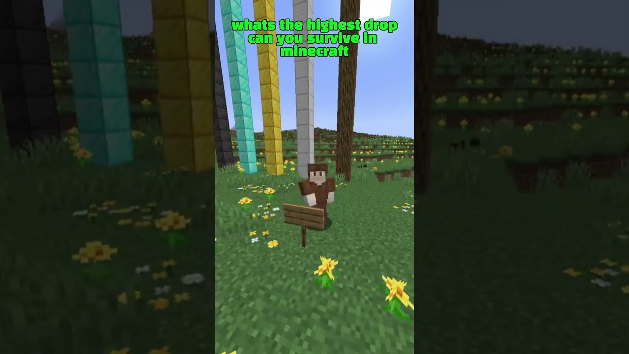 What’s the highest drop you can survive in Minecraft (tags: 