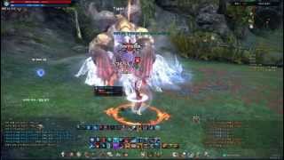TERA wizard cycle   테라 마법사 딜싸이클
