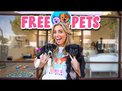 adoption pets corner