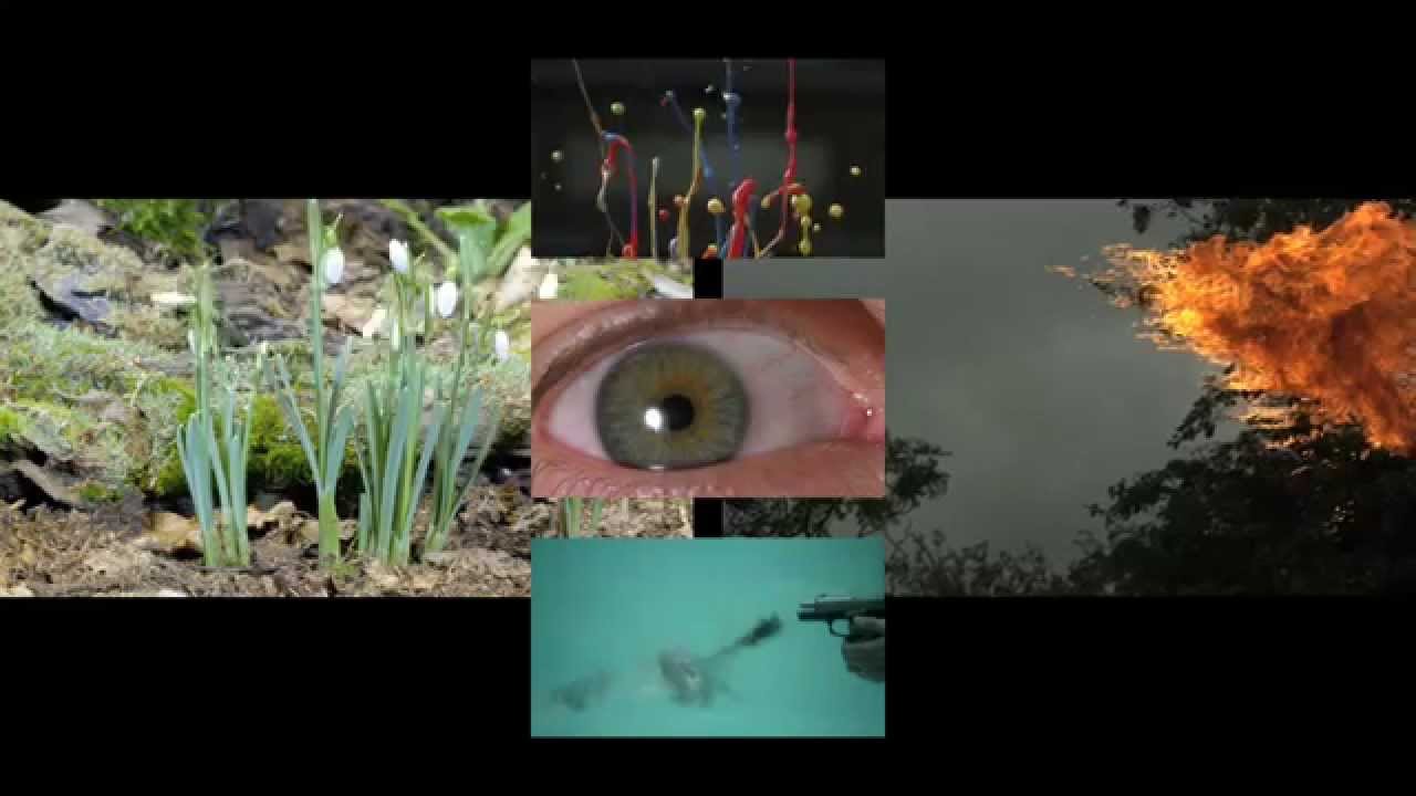 M!R!M - Flowers In Bloom