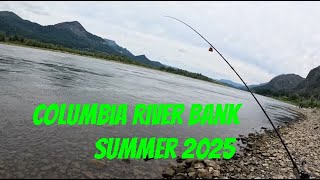 Columbia River Bank Fishing| Sockeye Salmon Fishing and Steelhead fishing | Plunking Columbia RIver