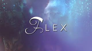 Guishaw - Flex (VLOG Music with No Copyright) @logsquare_vlog_music