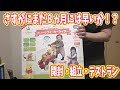 【商品レビュー】プーさんのおしゃべりウォーカーライダー