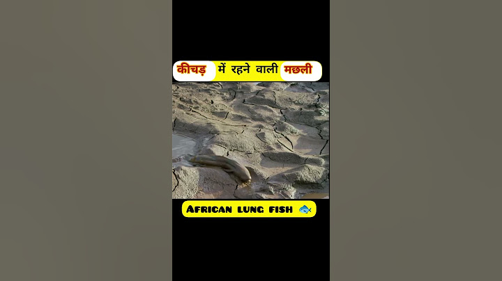 ये मछली कीचड़ की रानी है , जीवन उसका कीचड़ हैं ।। #knowledge #fact #fish #shorts