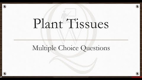 Plant Tissues | Multiple Choice Questions | Solved