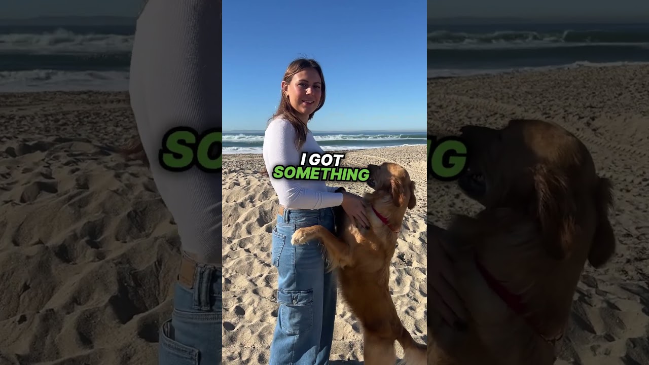 Winning the heart of a dog mom made easy. Did we miss any big ones? 🐾