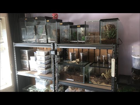 Update On Collection