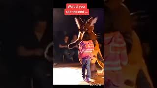Furry Tik Tok 5 #shorts #furry