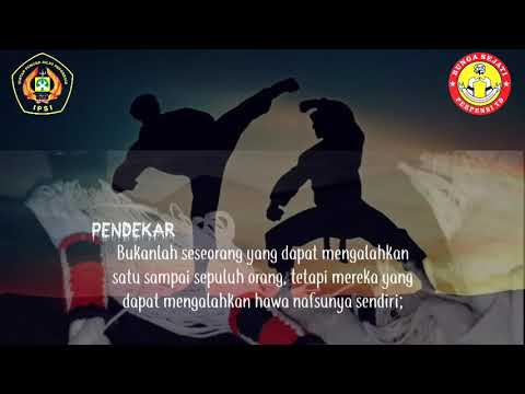Story Wa || story wa perguruan pencak silat indonesia/bunga sejati