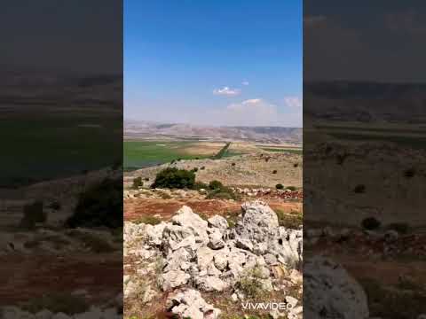  جورج الراسي