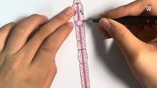 PA Earthworm Assembly