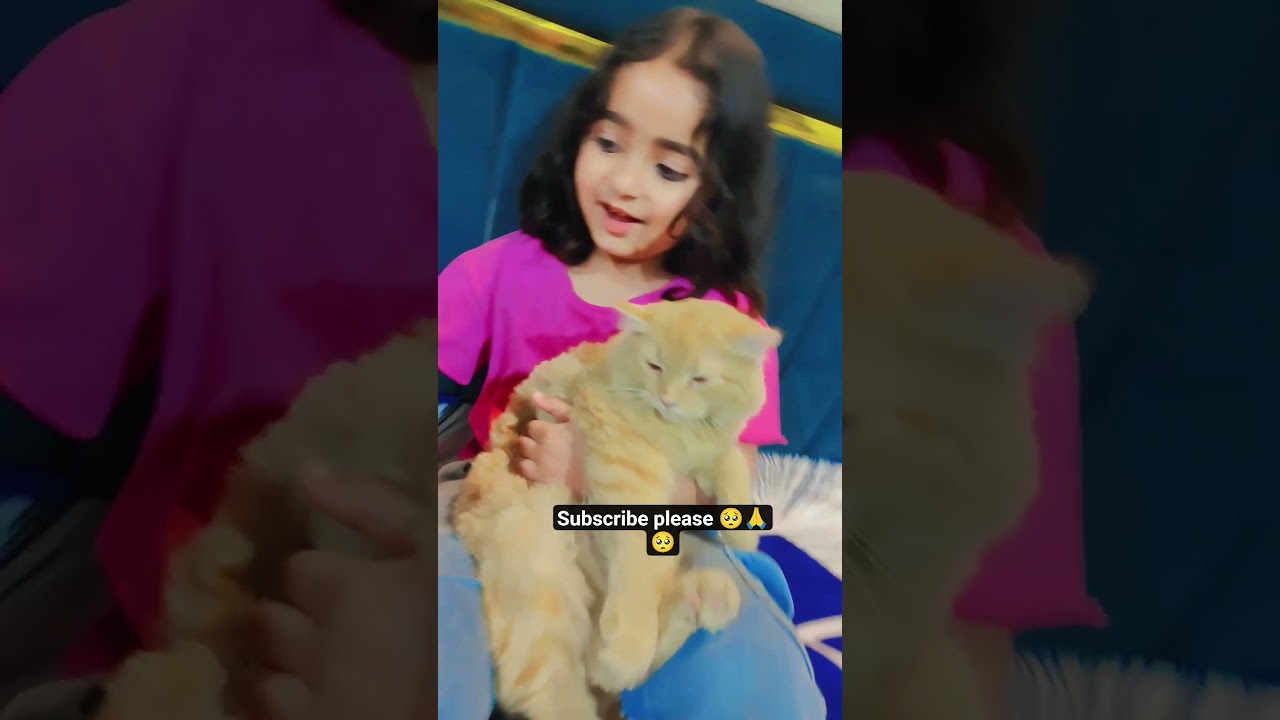 doll golu se khel rhi 😱😭😇🙏💯🐈😺#muradabadi #cat #viral