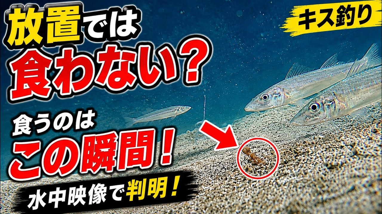 キス釣り】SESSYAベールレスキットver.2の装着方法 - YouTube