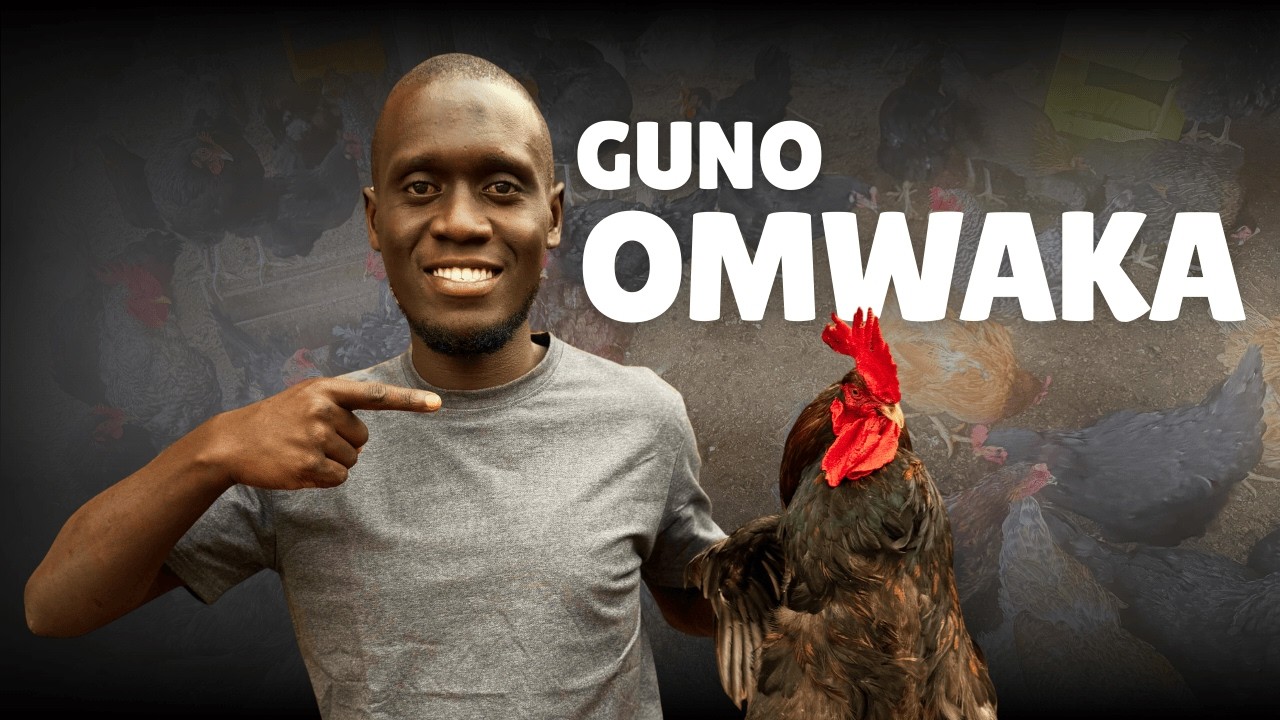 GUNO OMWAKA TUBEELE BAKOZI 