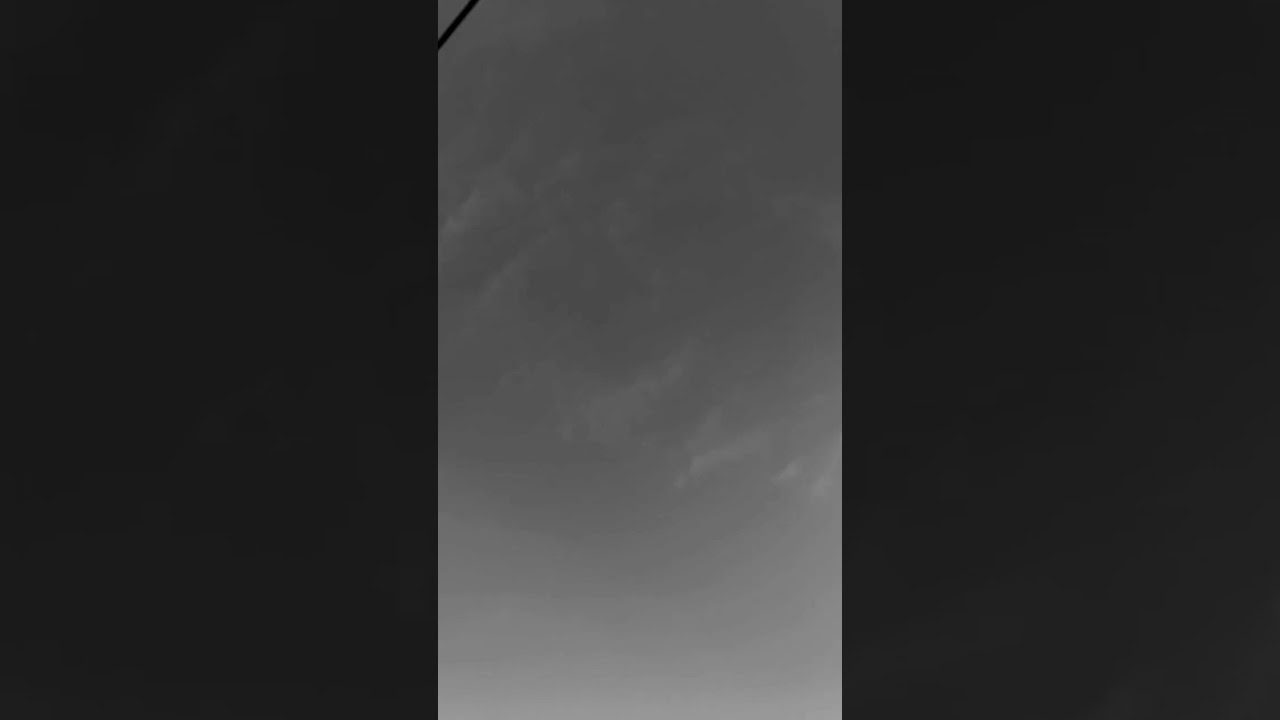 Today’s Bug thing 2nd June 2023 Sydney Australia 🇦🇺 Recorded in Slow motion