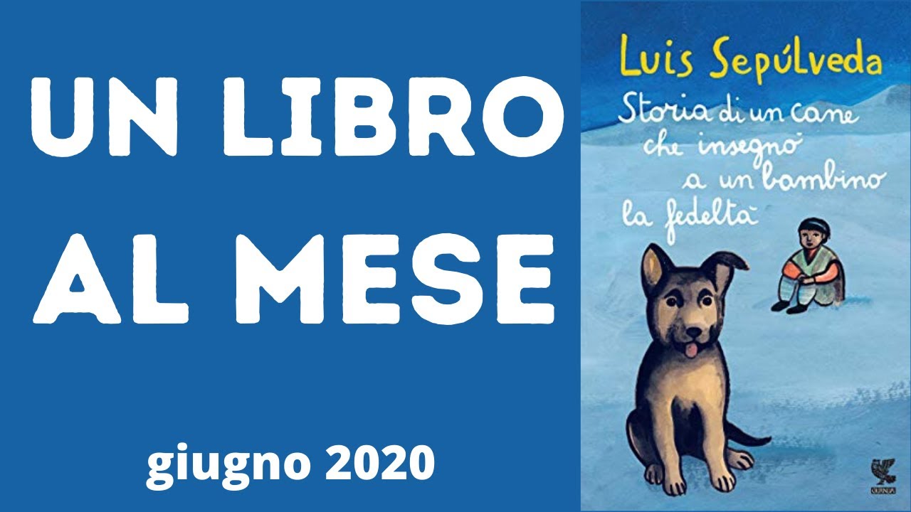 Storia di Un Cane Che Insegnò a Un Bambino La Fedeltà - Luis Sepulveda ...