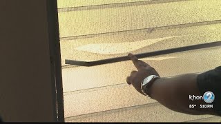Victim helps police catch suspects who burglarized his home and caused traffic jam on H-2 Monday