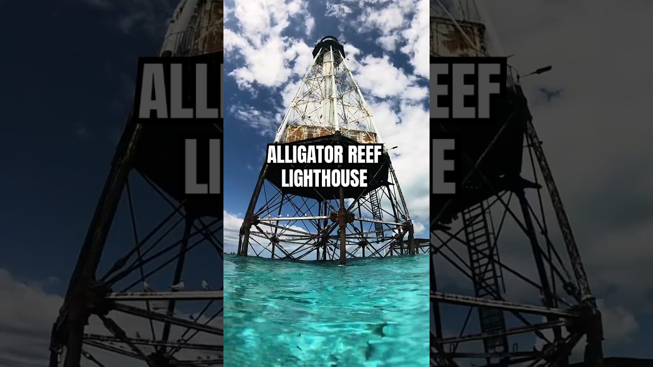 Snorkeling Alligator Reef Lighthouse | Life on the Florida Coast