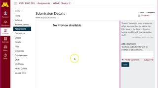 Checking rubric scores/grades on Canvas