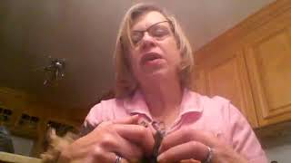 The Life Changing Effects of Multiple Sclerosis