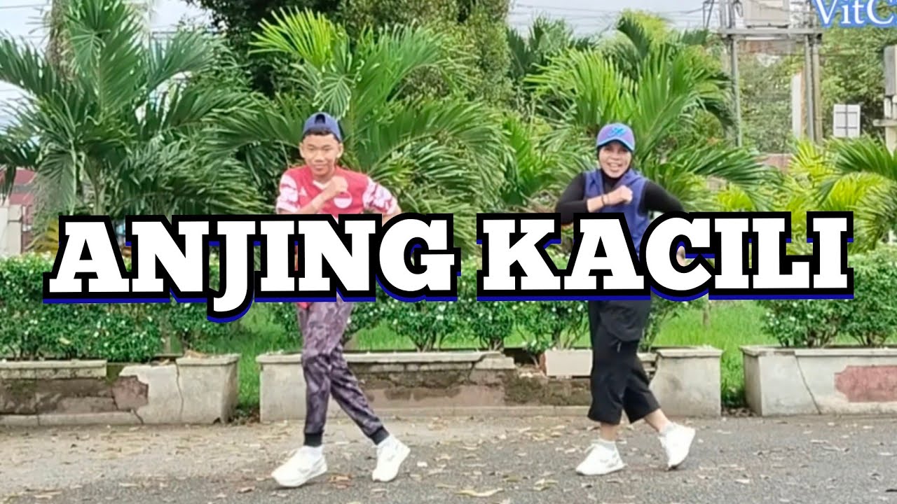 ANJING KACILI  by TIAN STORM || SENAM KREASI || DANCE