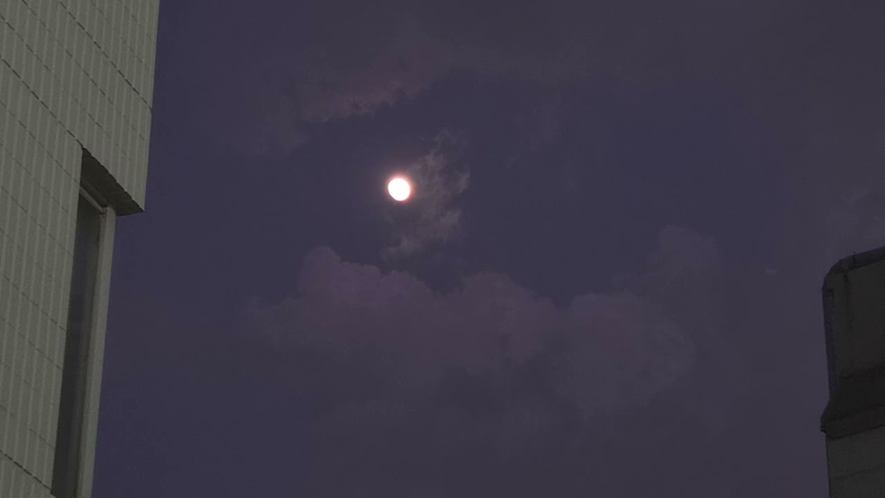 달과, 눈이 마주쳤다.