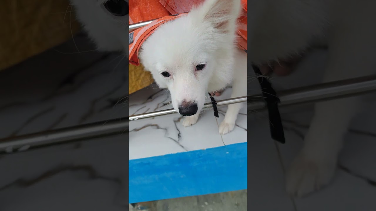 Main tere Ishq me 🥹 