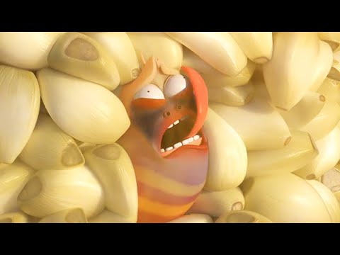 Alho desordem - LARVA