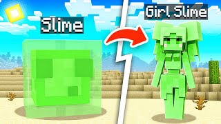 I Turned EVERY MOB Into a GIRL in MINECRAFT (movie)