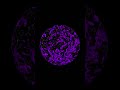 Djo – End Of Beginning (CYMATICS VISUALIZATION)