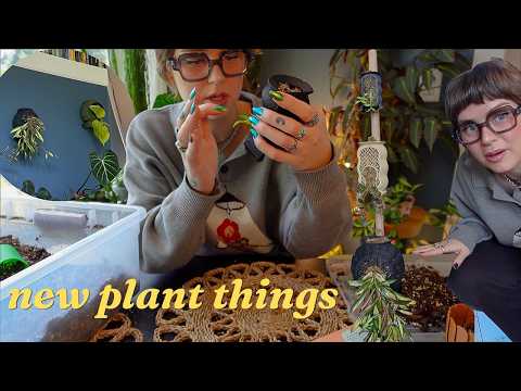trying out the new rousseau plant care orb and wavy mounts 🌿✨