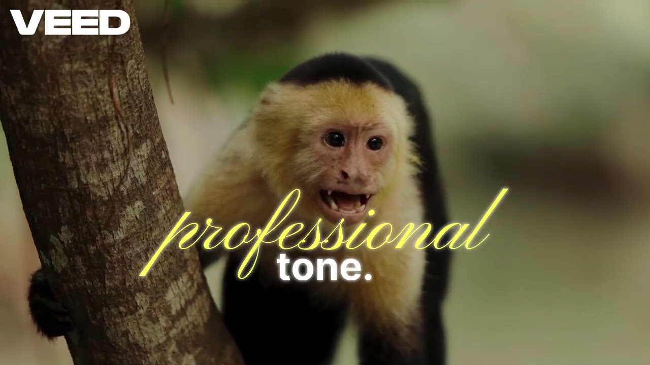 Monkey Doing Human Work | 