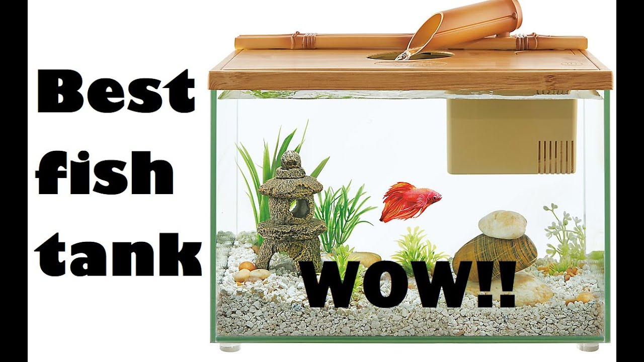 Top Fin Betta Bamboo Waterfall Tank YouTube