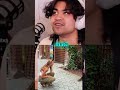 How to call a squirrel 😱 #jumpersjump #podcast #shorts