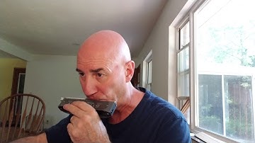 Pavane Bulletini Seydel Symphony David Kettlewell chromatic harmonica